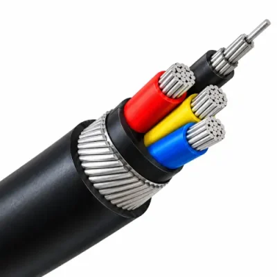 LT Cable-p
